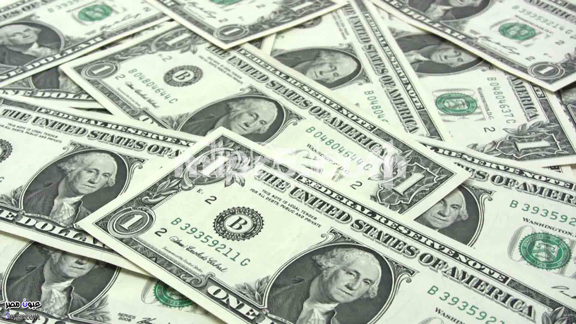 سعر الدولار فى البنك الأهلى اليوم